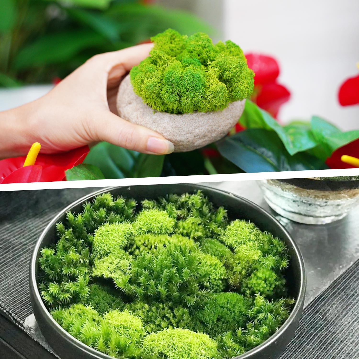 Artificial Green Moss, Eternal Life DIY Grass for Home, Garden & Mini Landscape