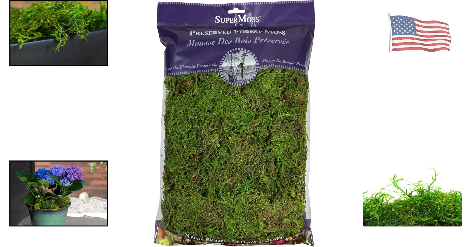 Versatile 8oz Fresh Green Moss – Perfect for Plant Bases and Floral Designs