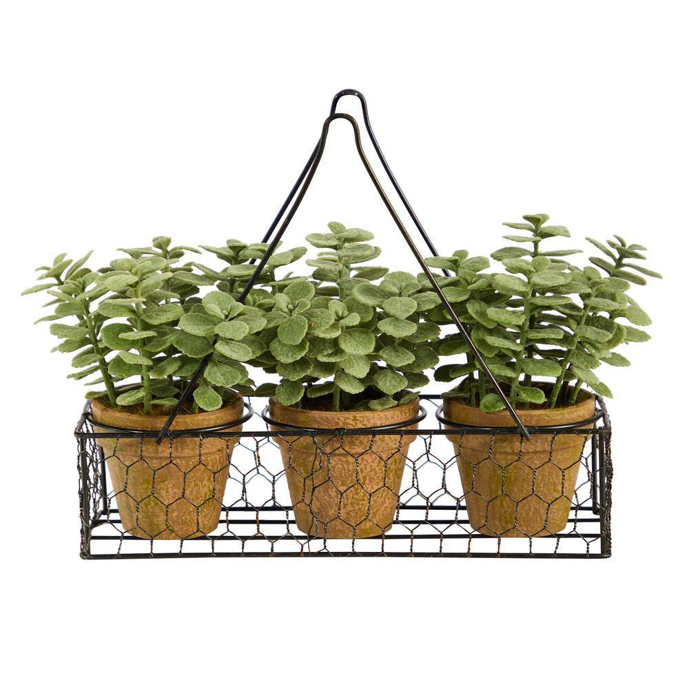 7 In. Artificial Mini Jade Garden Plant in Hanging Planter