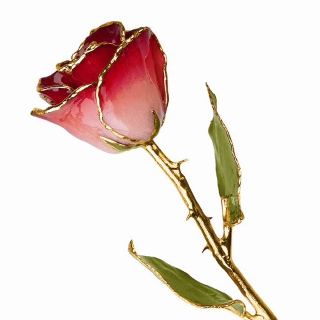 Burgundy and Pink Rose 24K Yellow Gold Trimmed Lacquered Long Stem Rose 12″