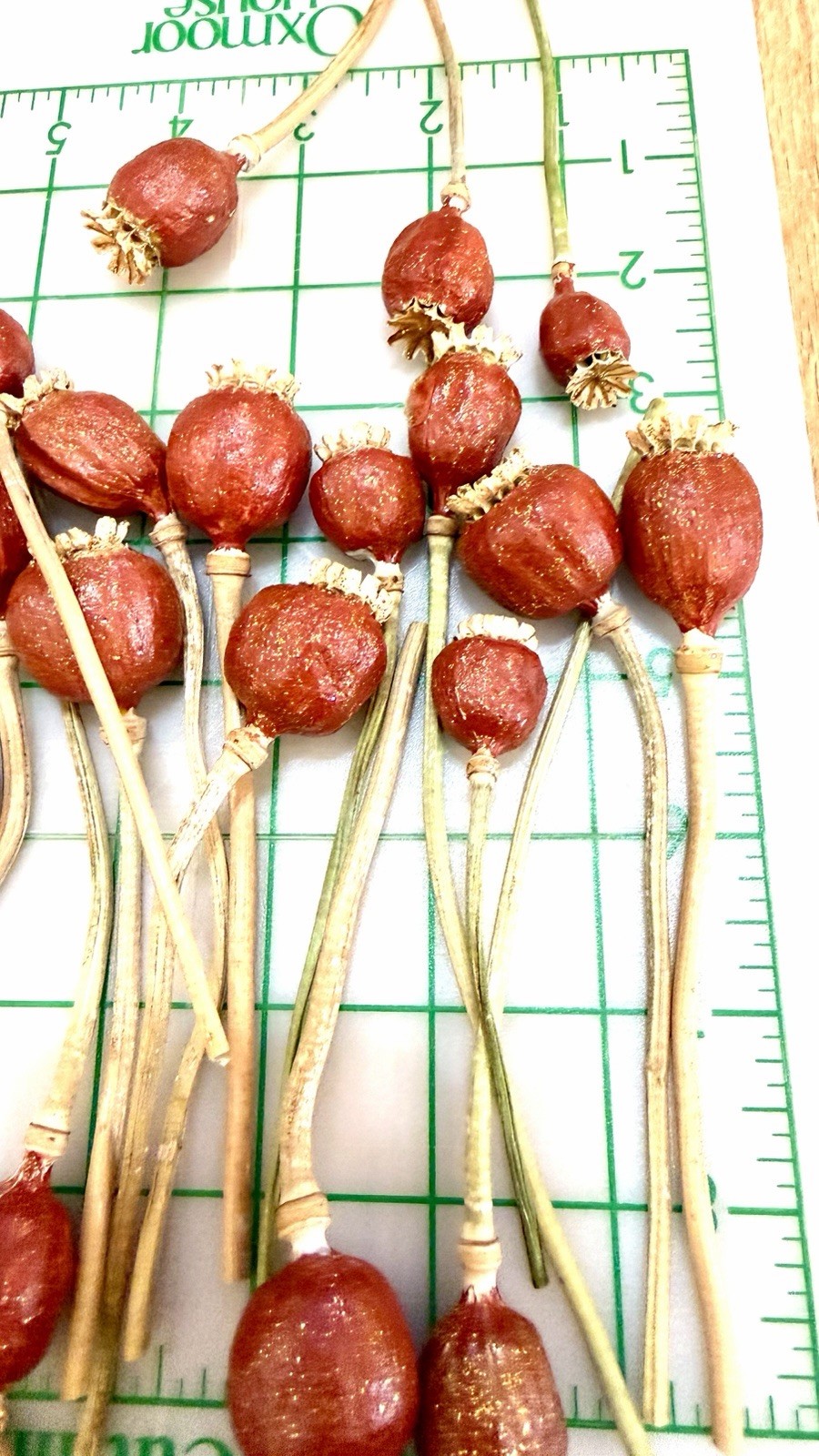 Dried Seed Pods Bouquet Floral Arrangement Centerpiece Decor with VTG GLASS 22
