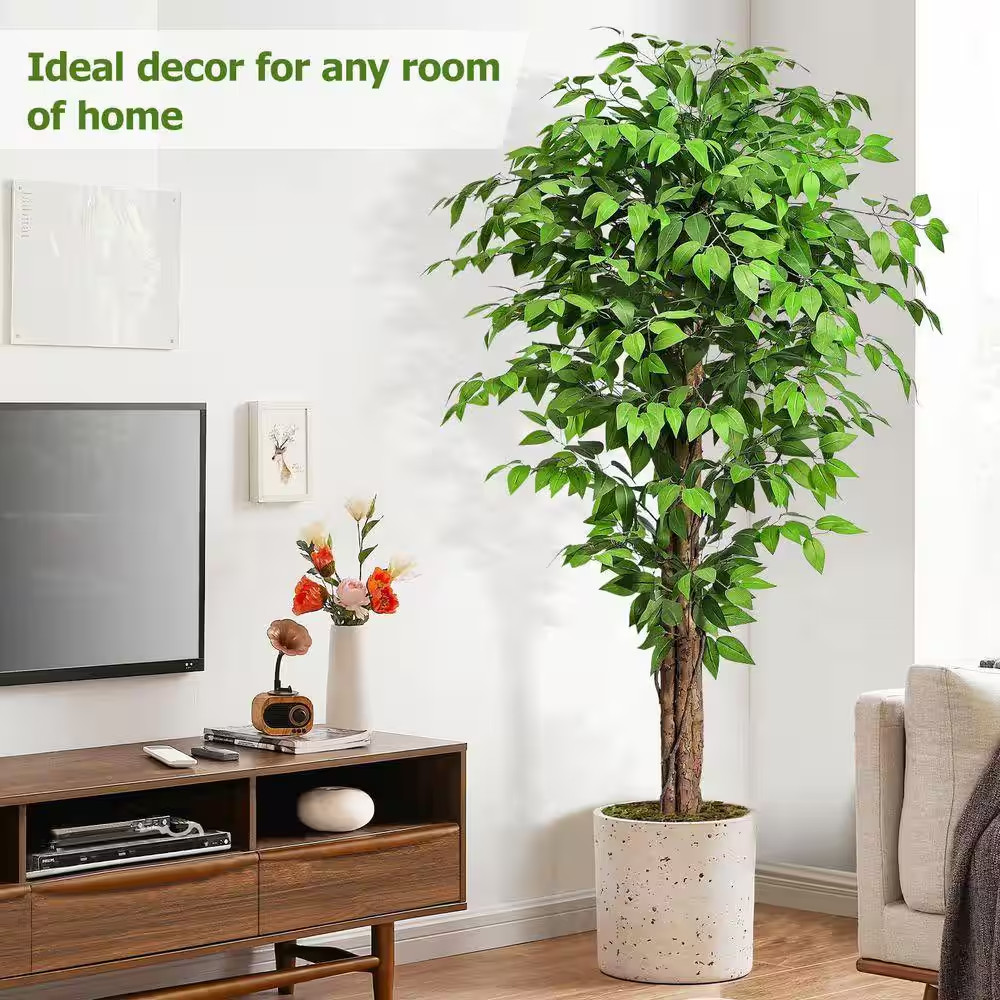 6.2 Ft. Artificial Ficus Tree in Black Cement Planter Pot with 3 Natural Curved
