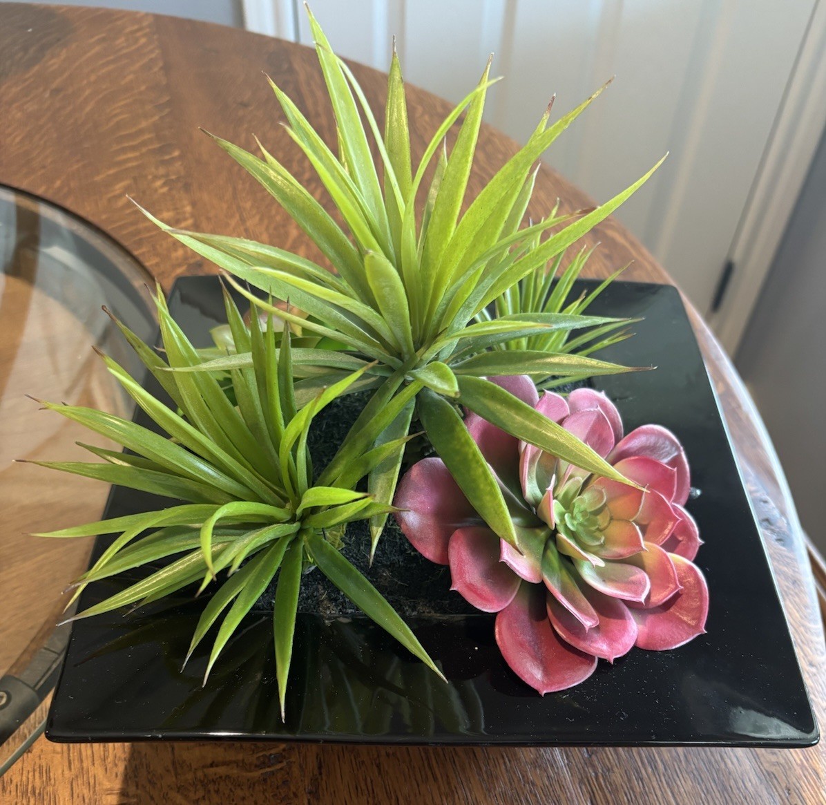 Pier 1 Imports Faux Succulent & Black Glass Organic Arrangement Retired