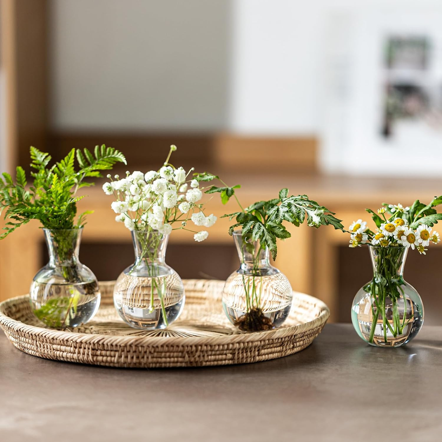 Plastic Propagation Vases (4 Bulbs),Desktop Plant Terrarium for Indoor Plants –