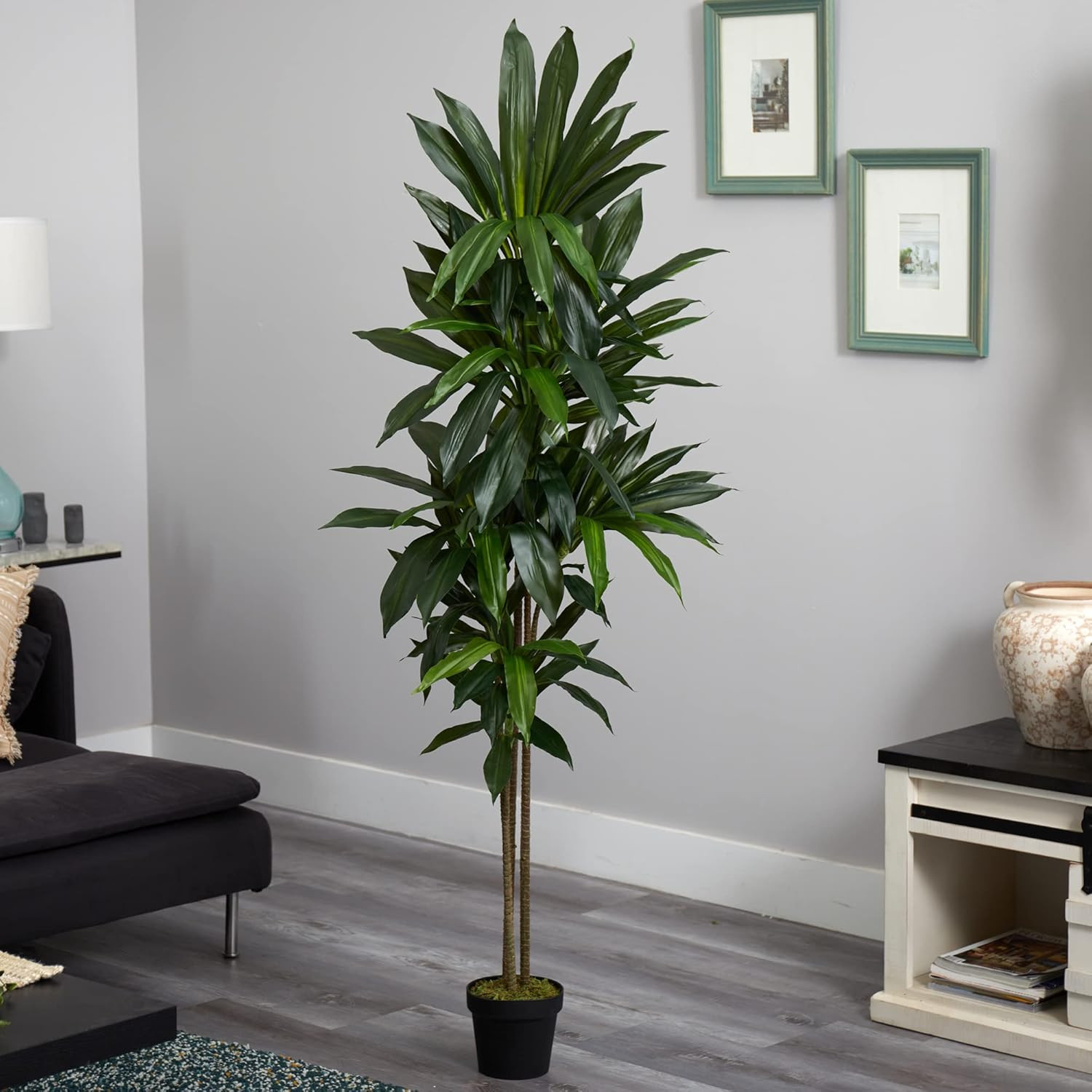 6Ft. Dracaena Silk Plant (Real Touch)