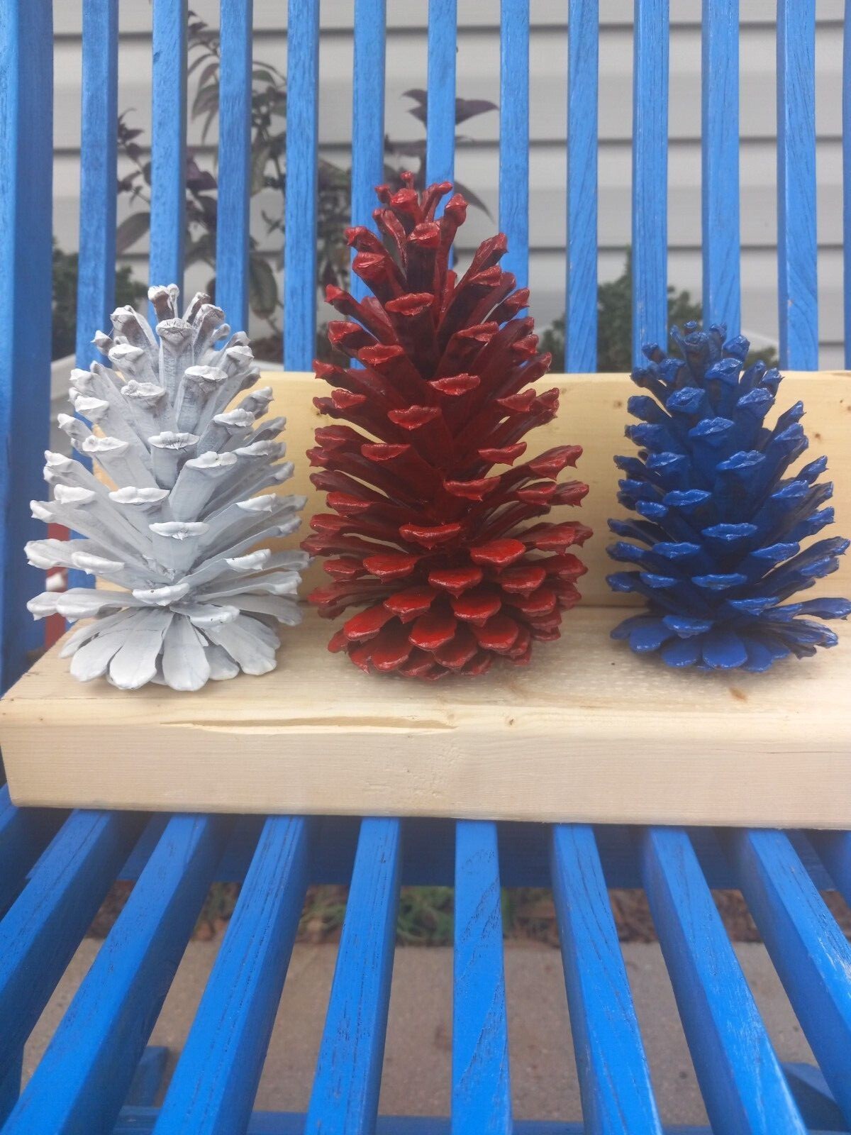 Hand painted pinecones,  various colors.  Set of 6 or 12. Fun holiday decor.