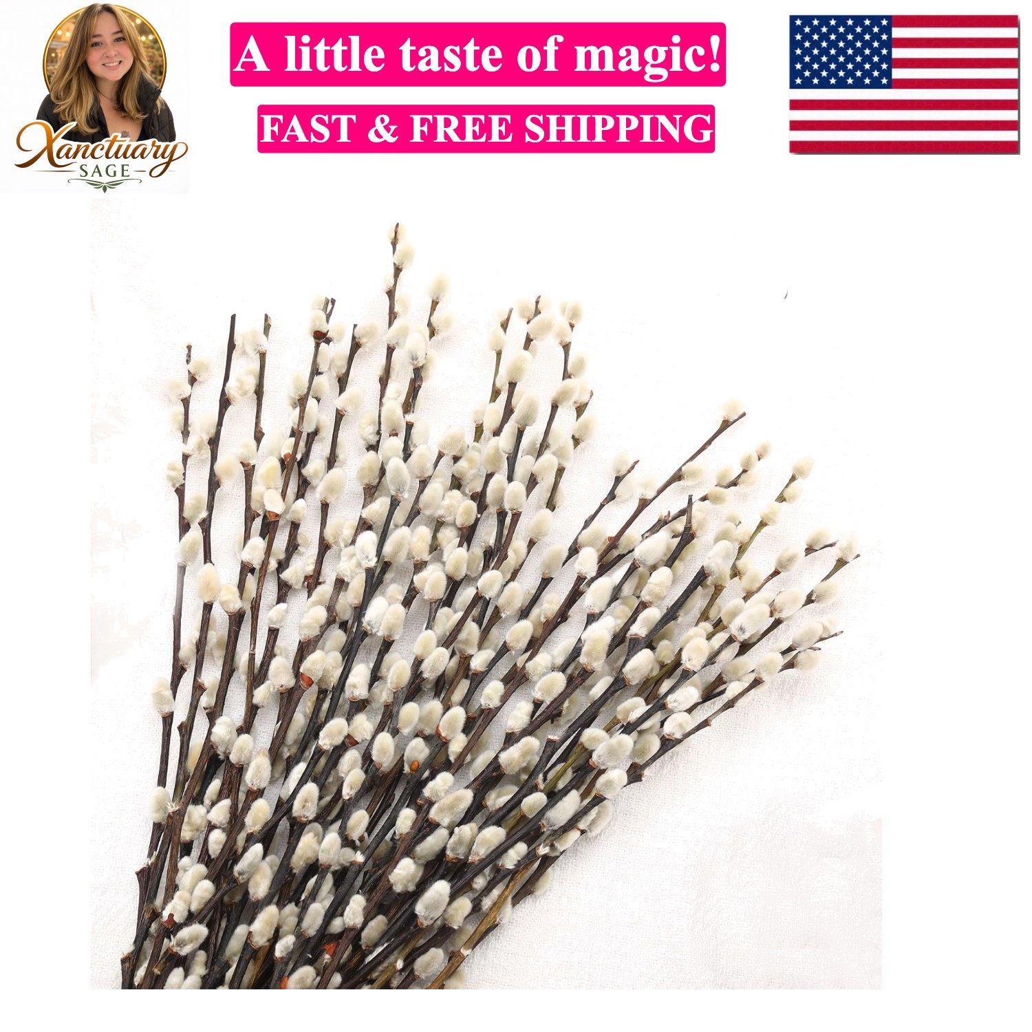 Natural Preserved Dried PussyWillow Branches for Vases, 25 Stems Real Willows…