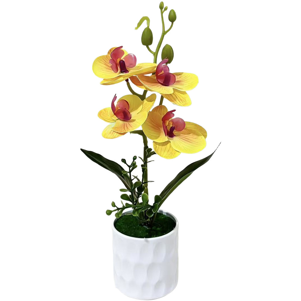 Plastic Phalaenopsis Orchid 3D Printed Potted Artificial Flower 28 x 15 cm
