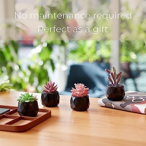 Nordik Set of 4 Desk Plants – Geometric Round Black Pots – Perfect for Bathroom,