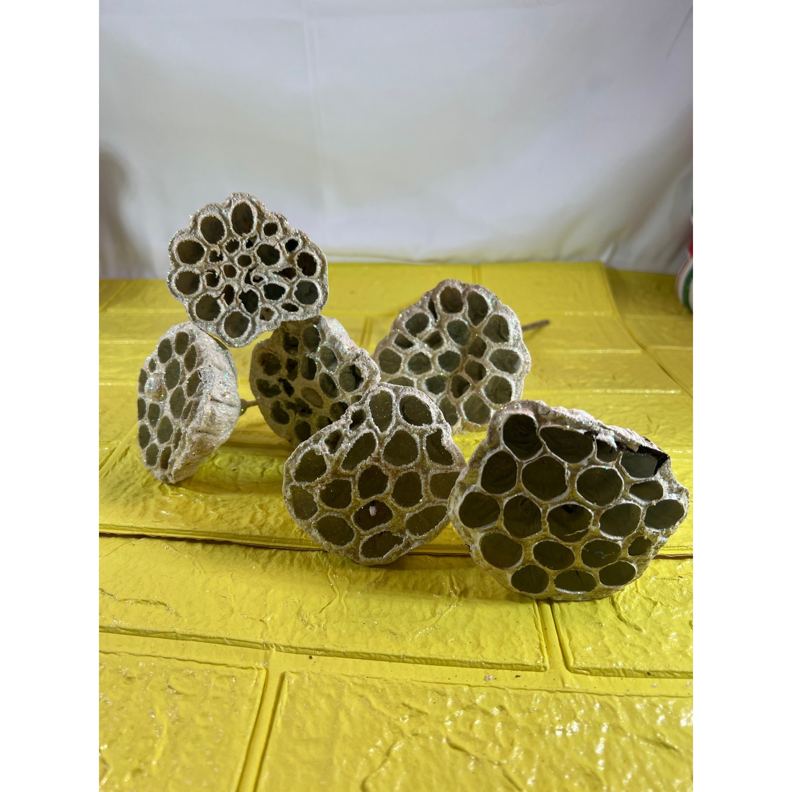 Vintage Lotus Seed Pod Floral Picks Christmas Holiday White Silver Set