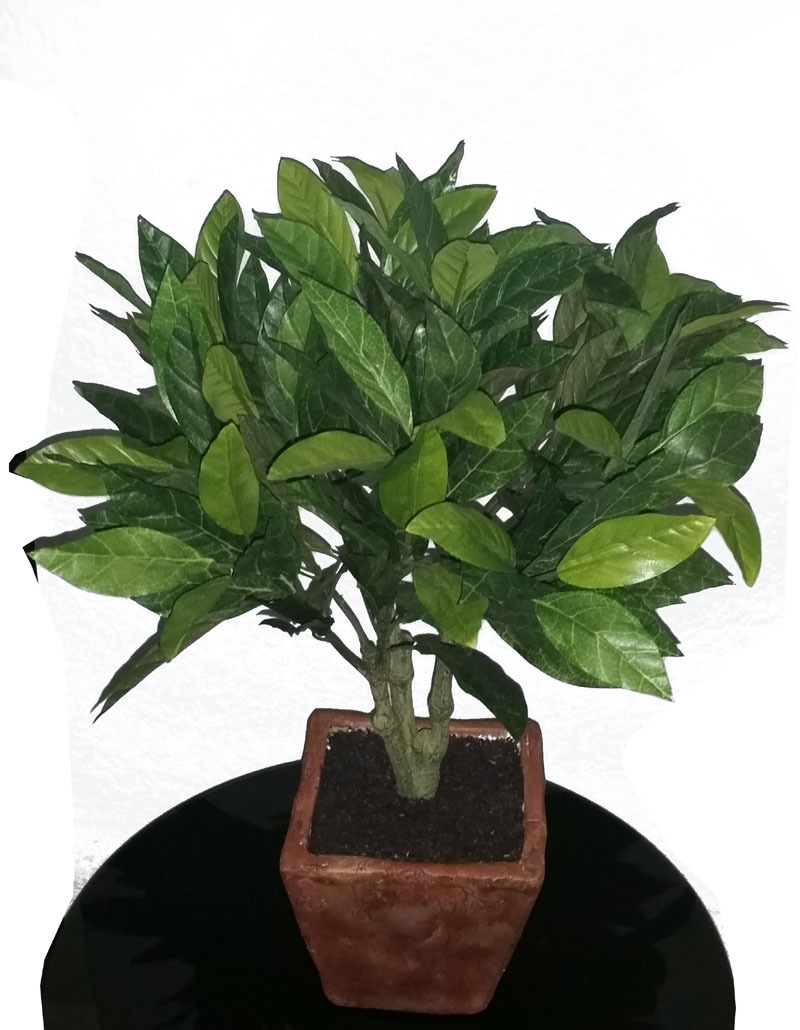 Artificial Dwarf 18″ Bay Leaf Laurel Tree Silk Potted