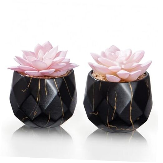Artificial Succulent Plants in 2 Ceramic Pots, Cute Fake Plants for Black