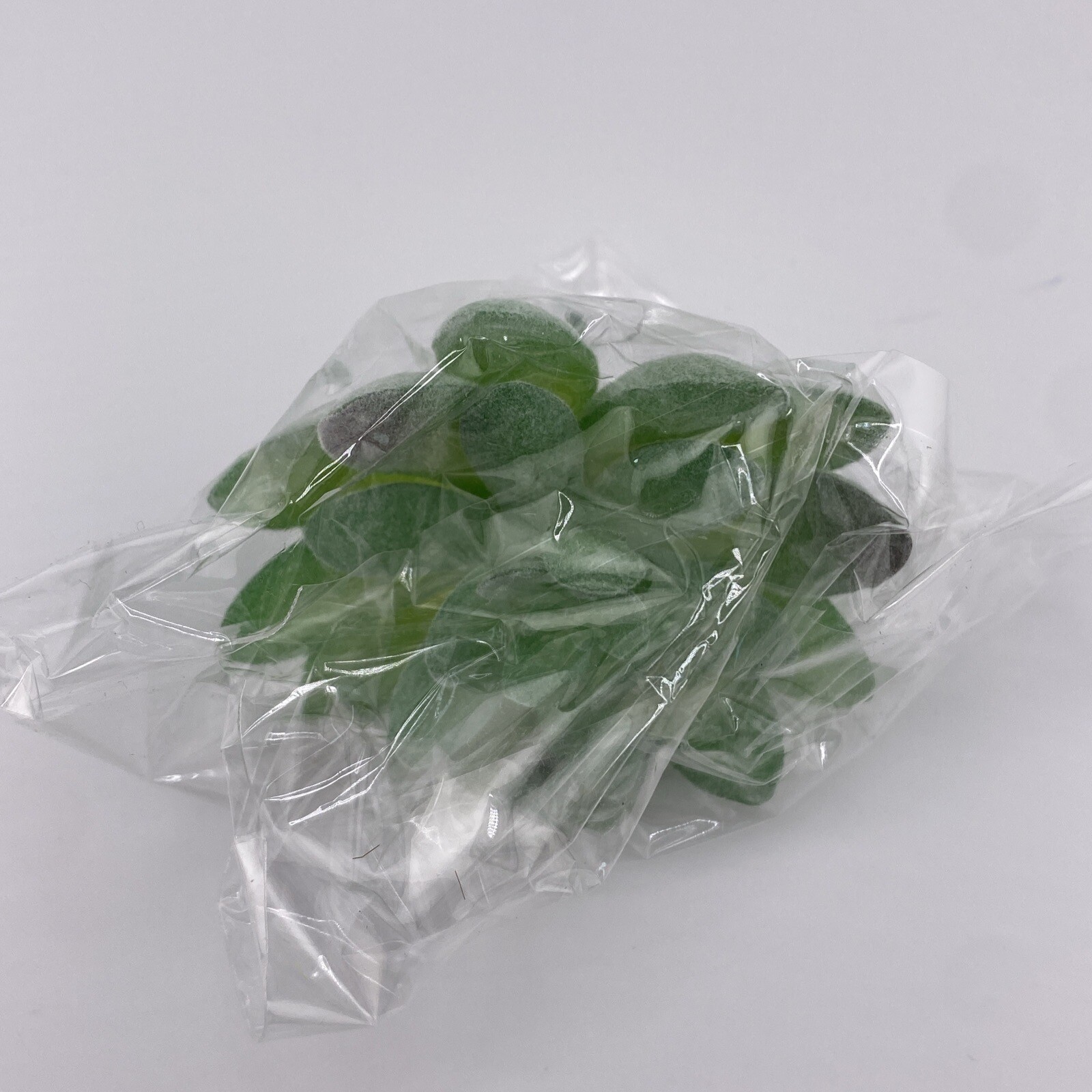 Lot Of 16 Plastic Succulents! Home Decor, Never Used! Make Great Accents! Green!