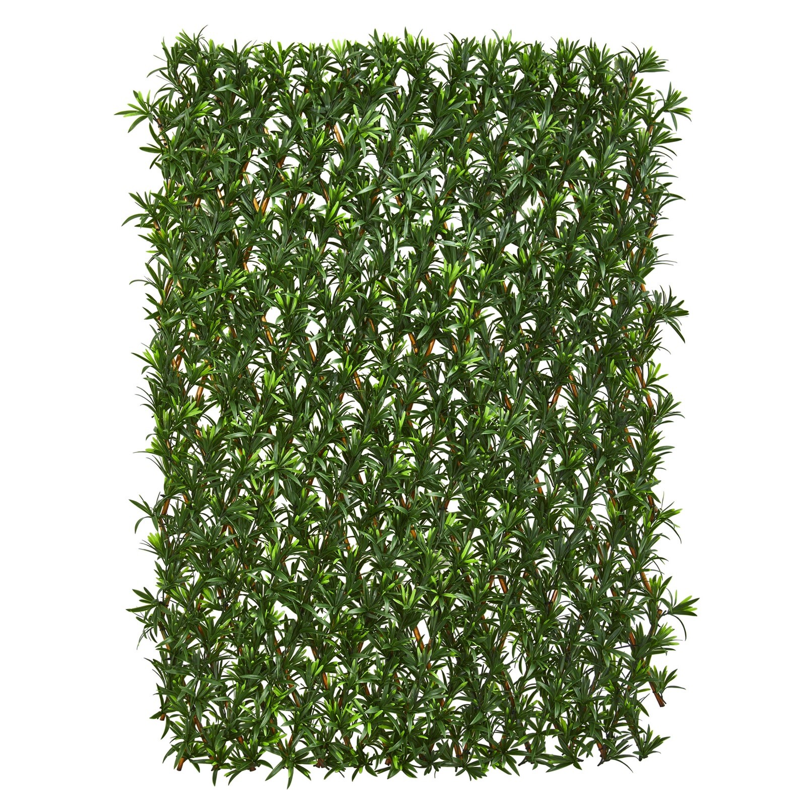 39” Podocarpus Expandable Fence UV Resistant & Waterproof Trellis. Retail $370