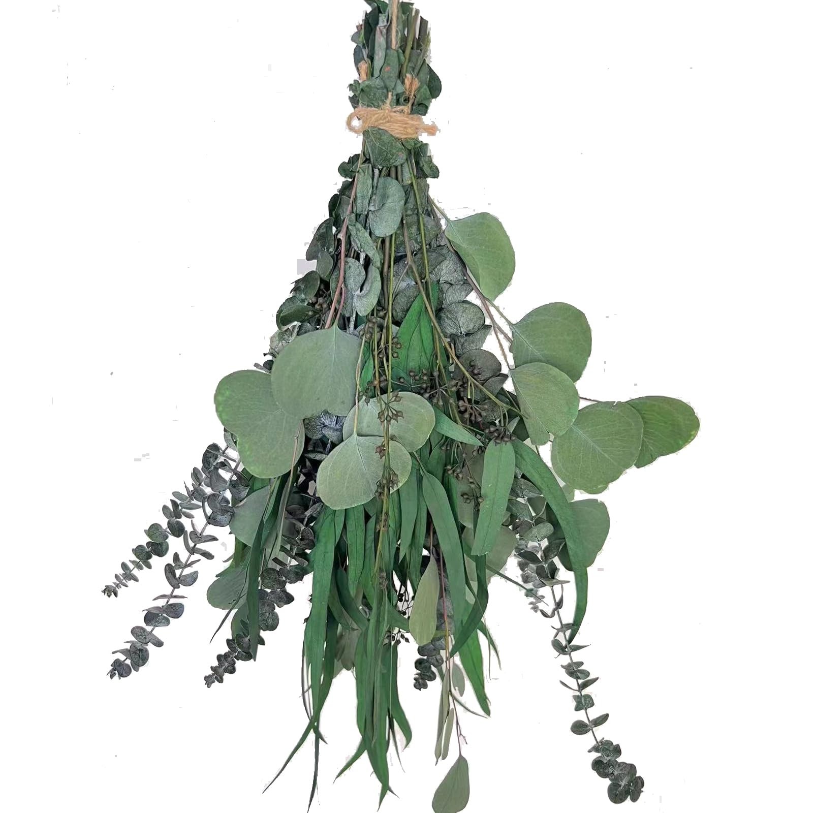 22 PCS Dried Eucalyptus for Shower Bundle, 17” Real Large Preserved Eucalypt…