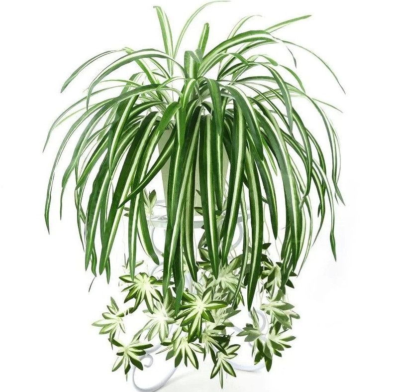 1pc Green Artificial Hanging Chlorophytum Plant Fake Green Wall Decor – NEW