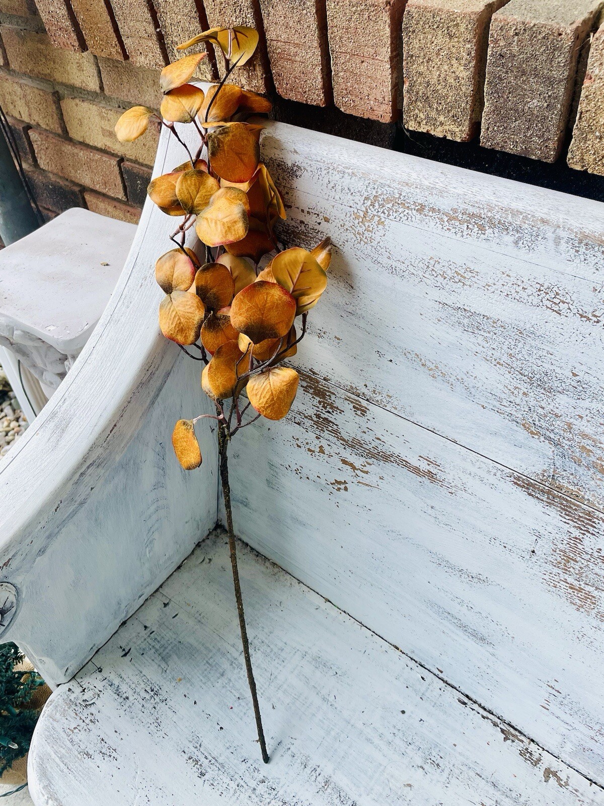 Gold Eucalyptus Pick, 28” One Pick Only