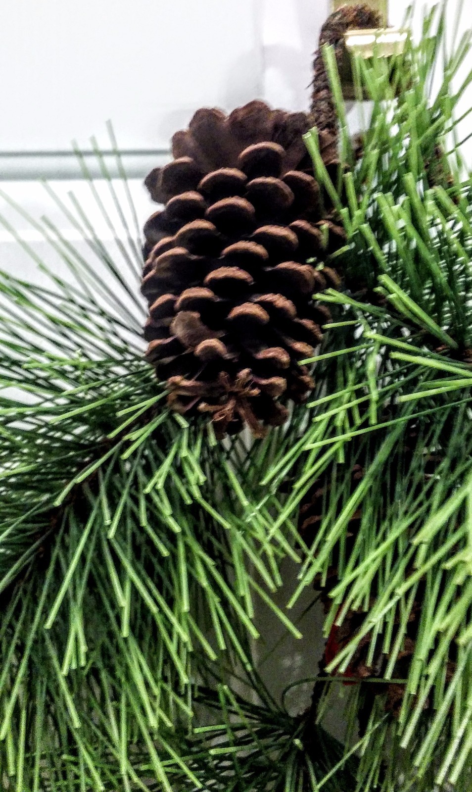 NWT Teardrop of Artificial Pine & Genuine Pine Cones for Door or Wall, 34″ Tall