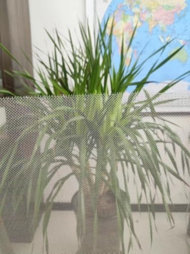 Heavy-Duty Stainless Steel Mesh Screen 48″x118″ – 304 Wire Dia 0.23mm, #18 Mesh