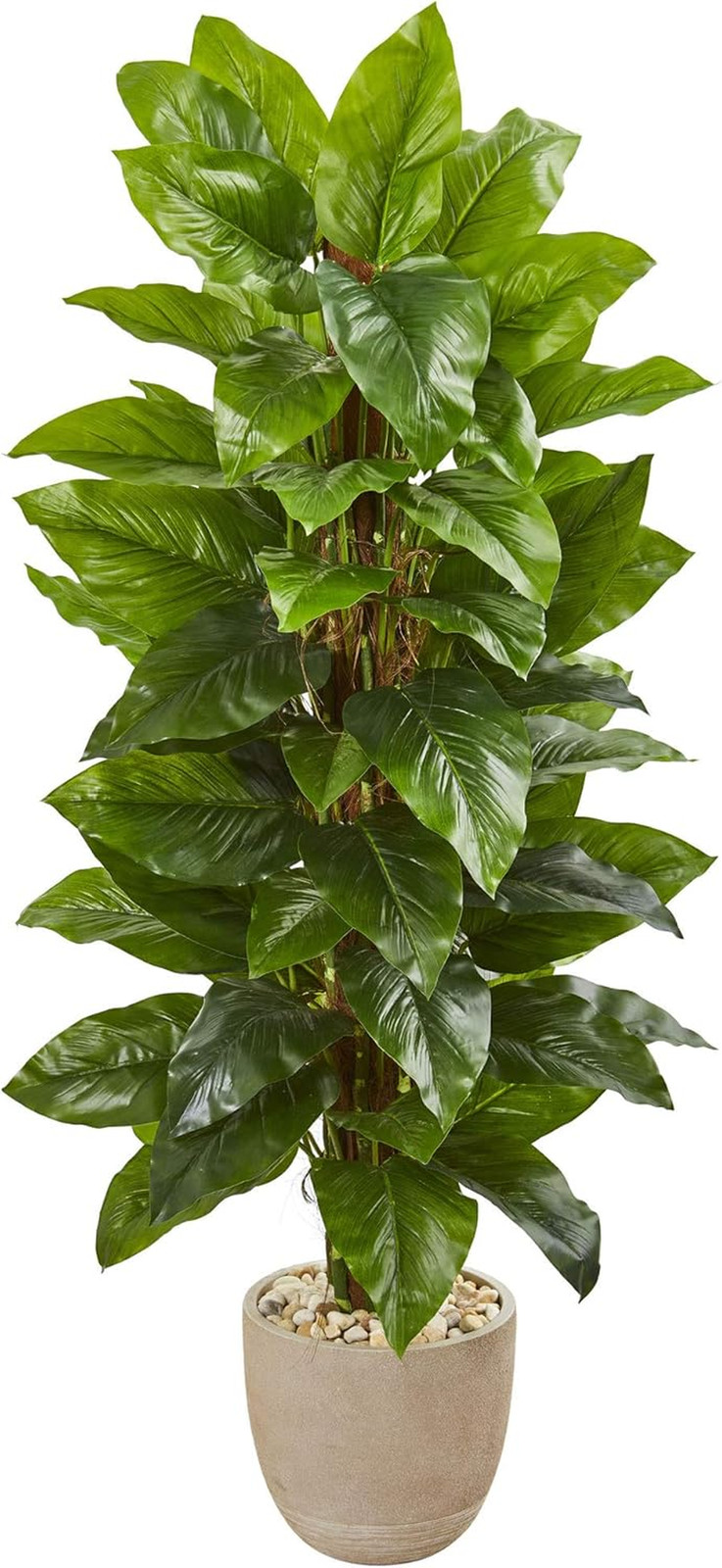 58″ Real Touch Large Leaf Philodendron in Sandstone Planter –