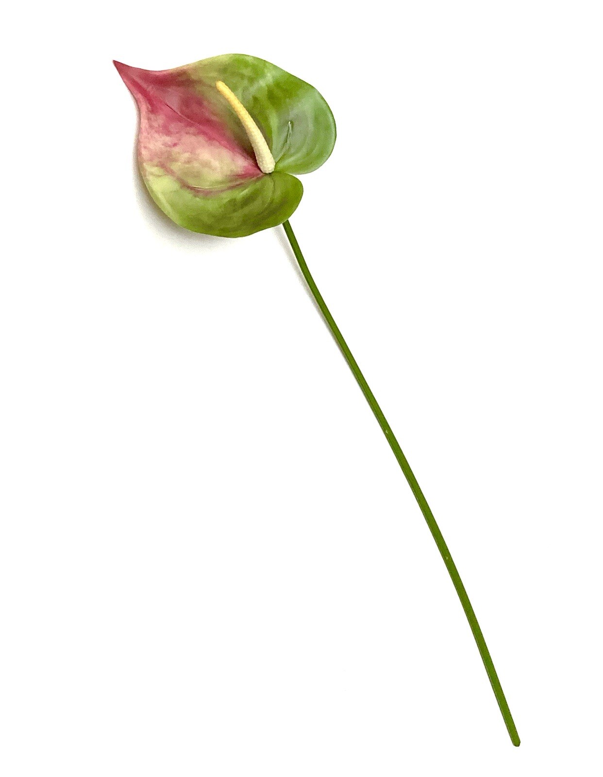 6 Realistic 25″ GREEN PINK Anthurium Stem Flower Floral Tropical Artificial Fake