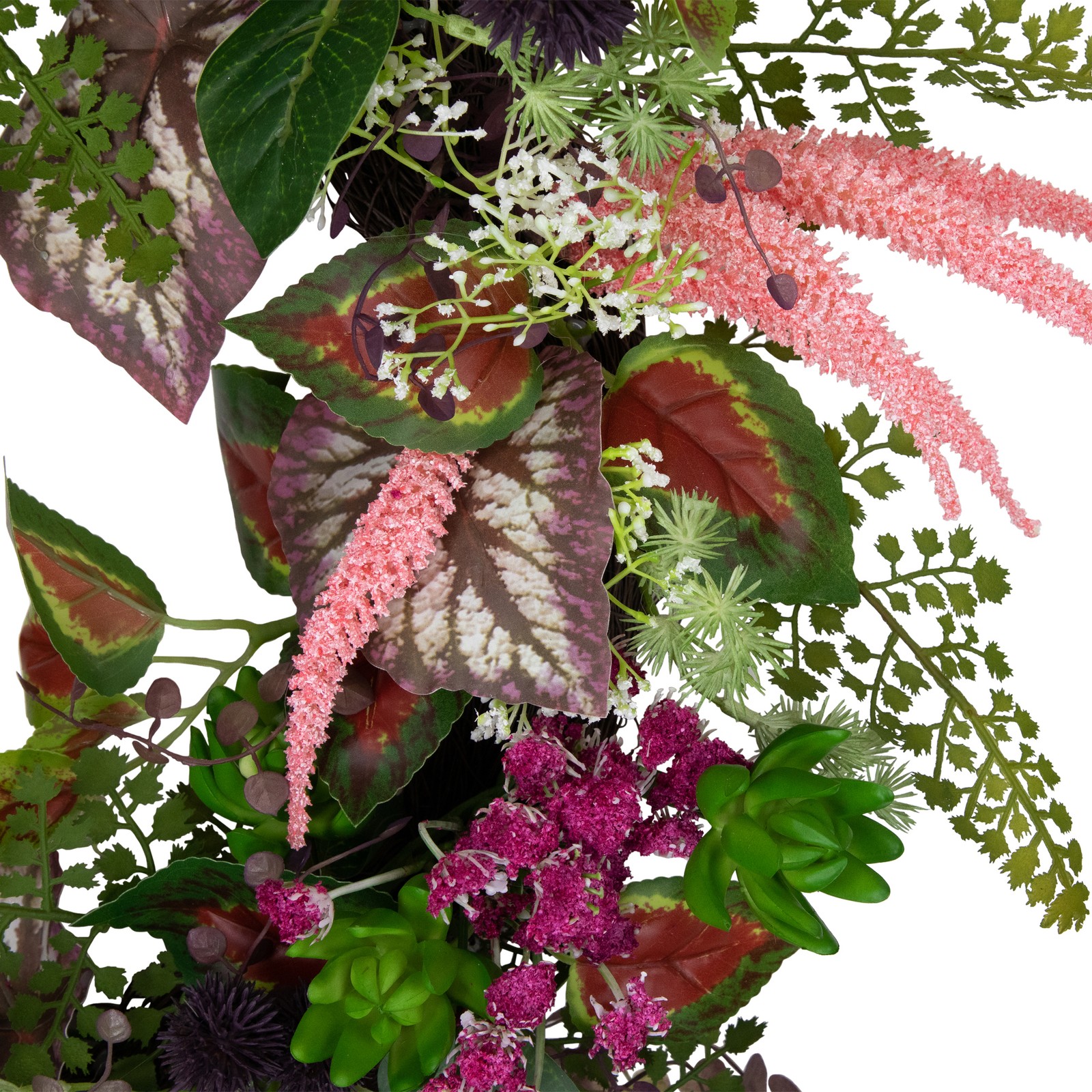 Northlight Succulent and Fern Artificial Spring Floral Wreath, 24-Inch