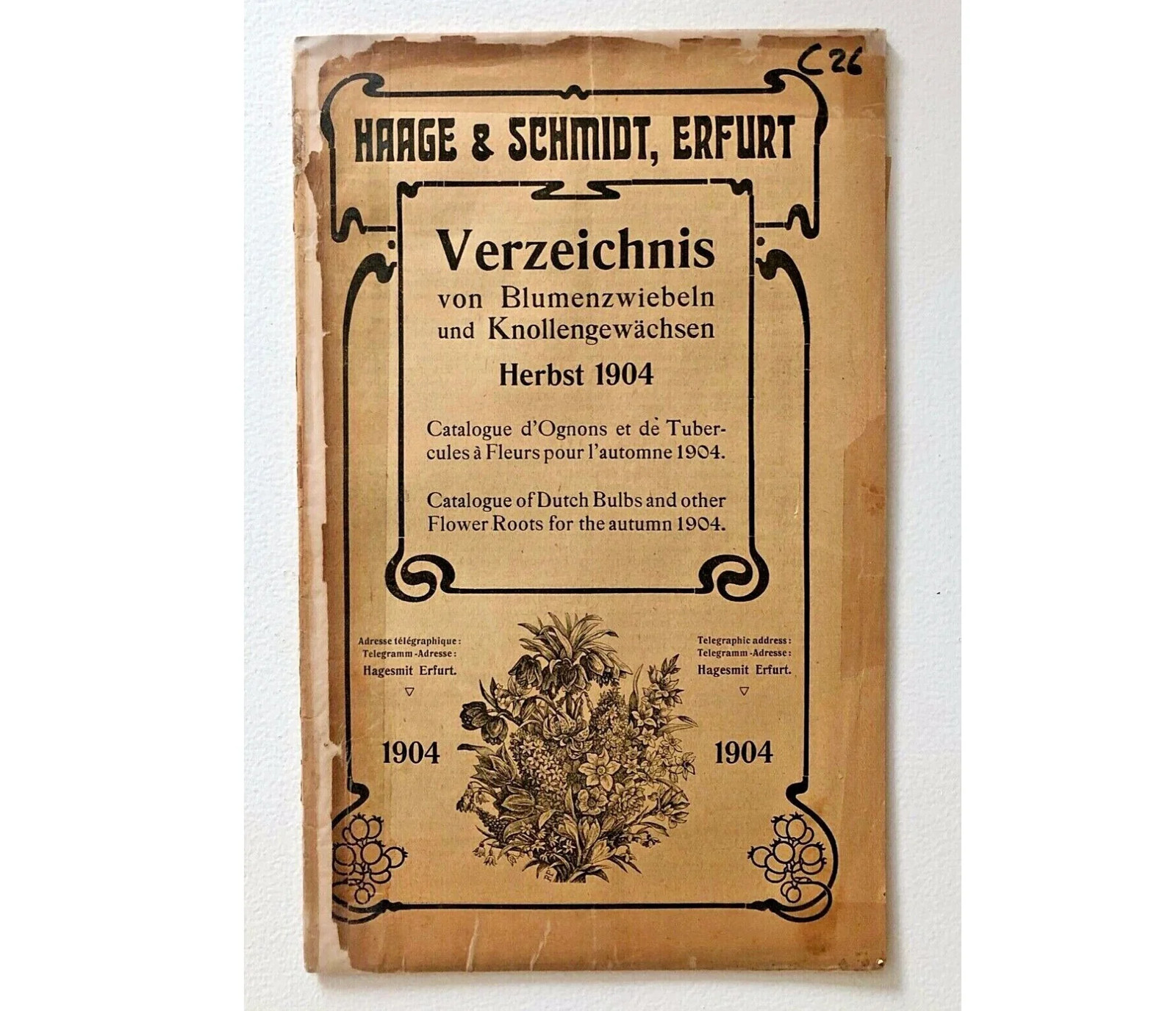 Haage & Schmidt 1904 Verzeichniss von Blumenzwiebeln – box21_20 –