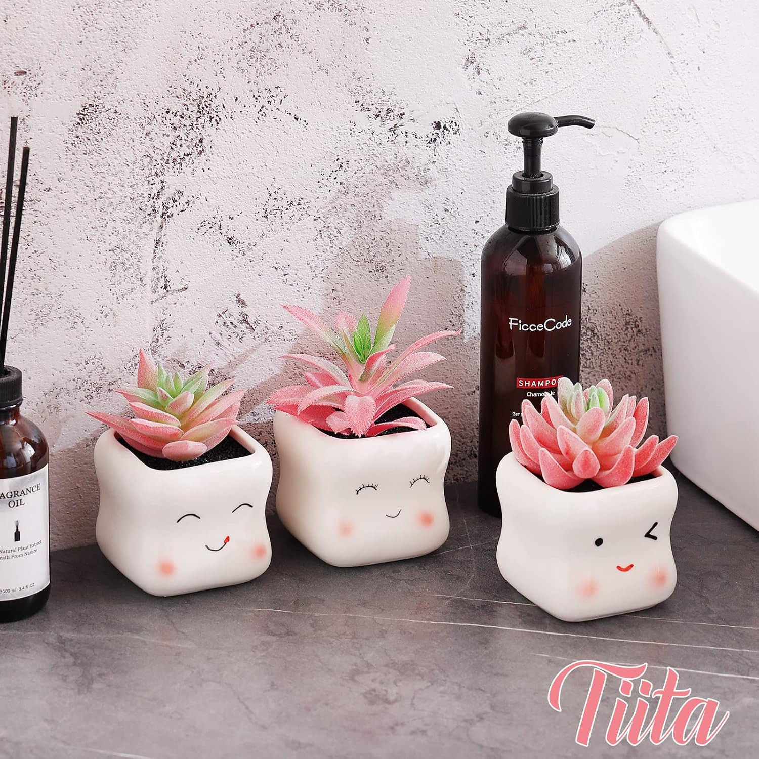 Adorable Mini Faux Succulents in Pots for Home Office Decor and Accessories