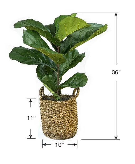 Faux 36″ Fig in Handwoven Boho Basket