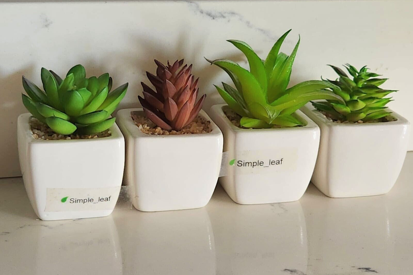 Party Favor Artificial Succulent Set in White Ceramic Pot Mini Plant Home Decor