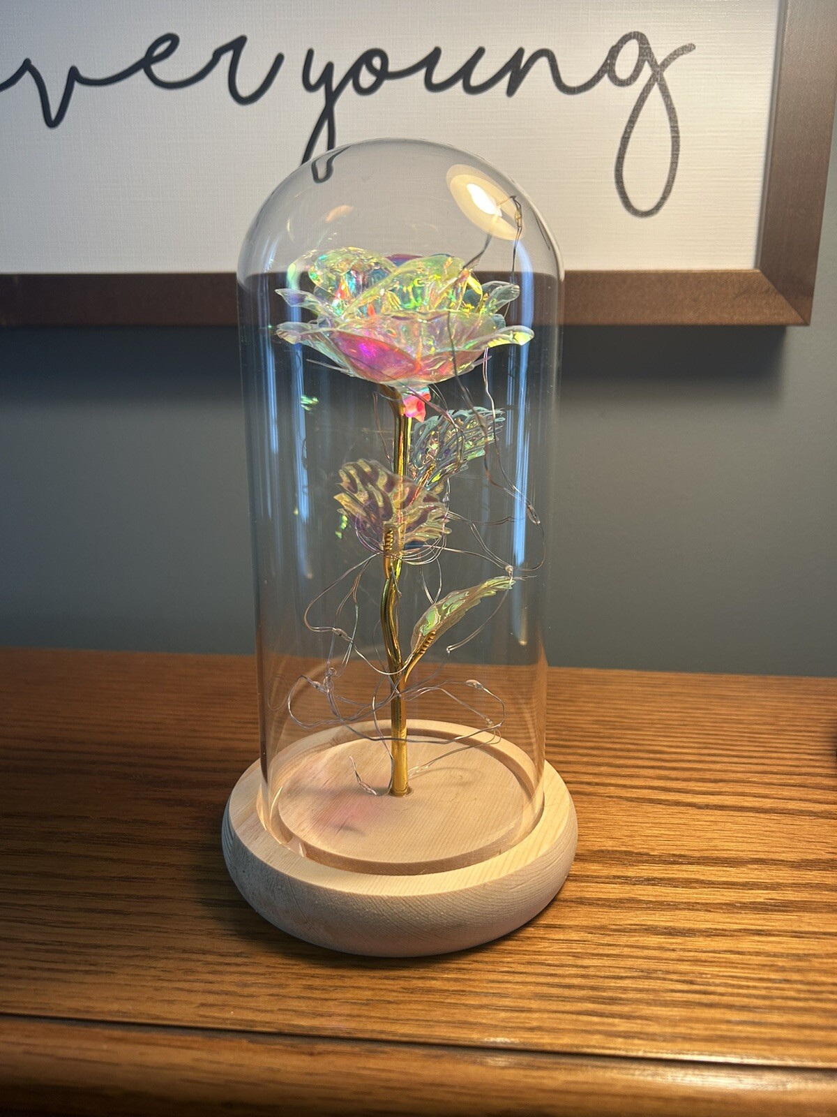 Price Drop! Crystal Galaxy Rose in the Glass Dome 20 LED Lights