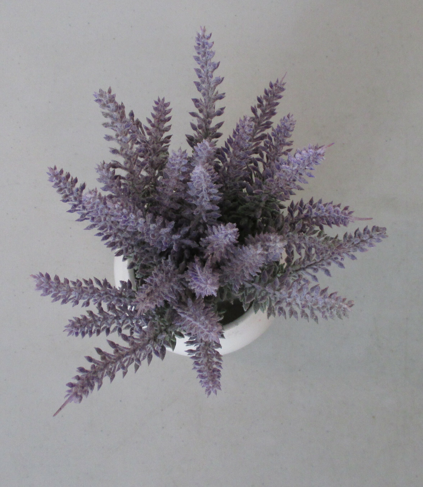 Artificial Lavender Plant 7 inches tall in White Pot 4 in diameter