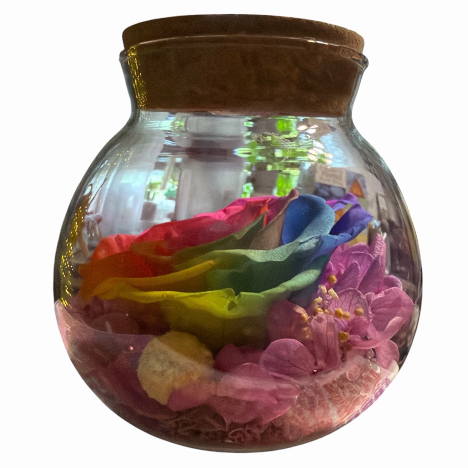 Real Preserved Rose Globe Eternal Rose Multicolor With Light Forever Flowers