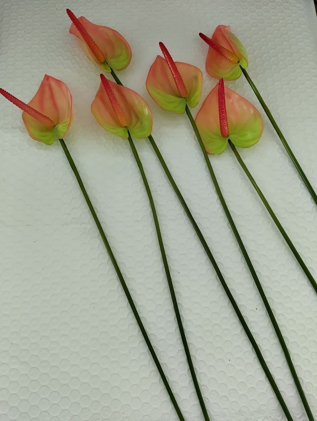 SIX MinI Anthurium stem cream/pink. Tropical stems Hawaiian flowers .