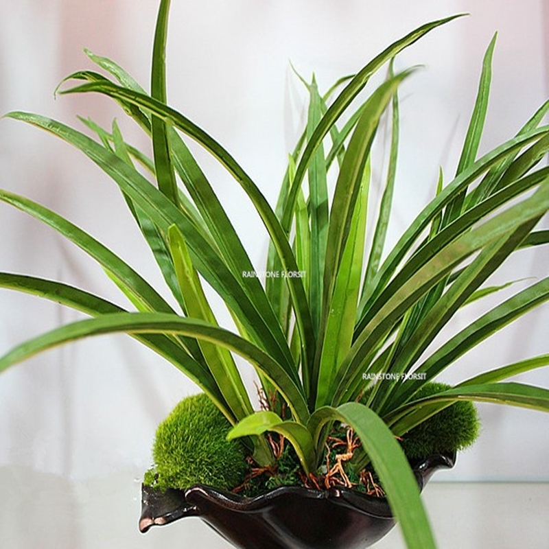 3 x 7 Leaf Latex Artificial Orchid Plant Tree Christmas Day No Pot Green