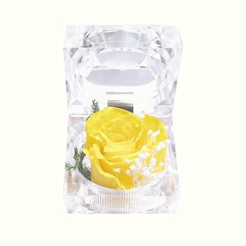 Preserved Rose Real Fresh Rose in Mini Clear Ring Box, Eternal Flower Yellow