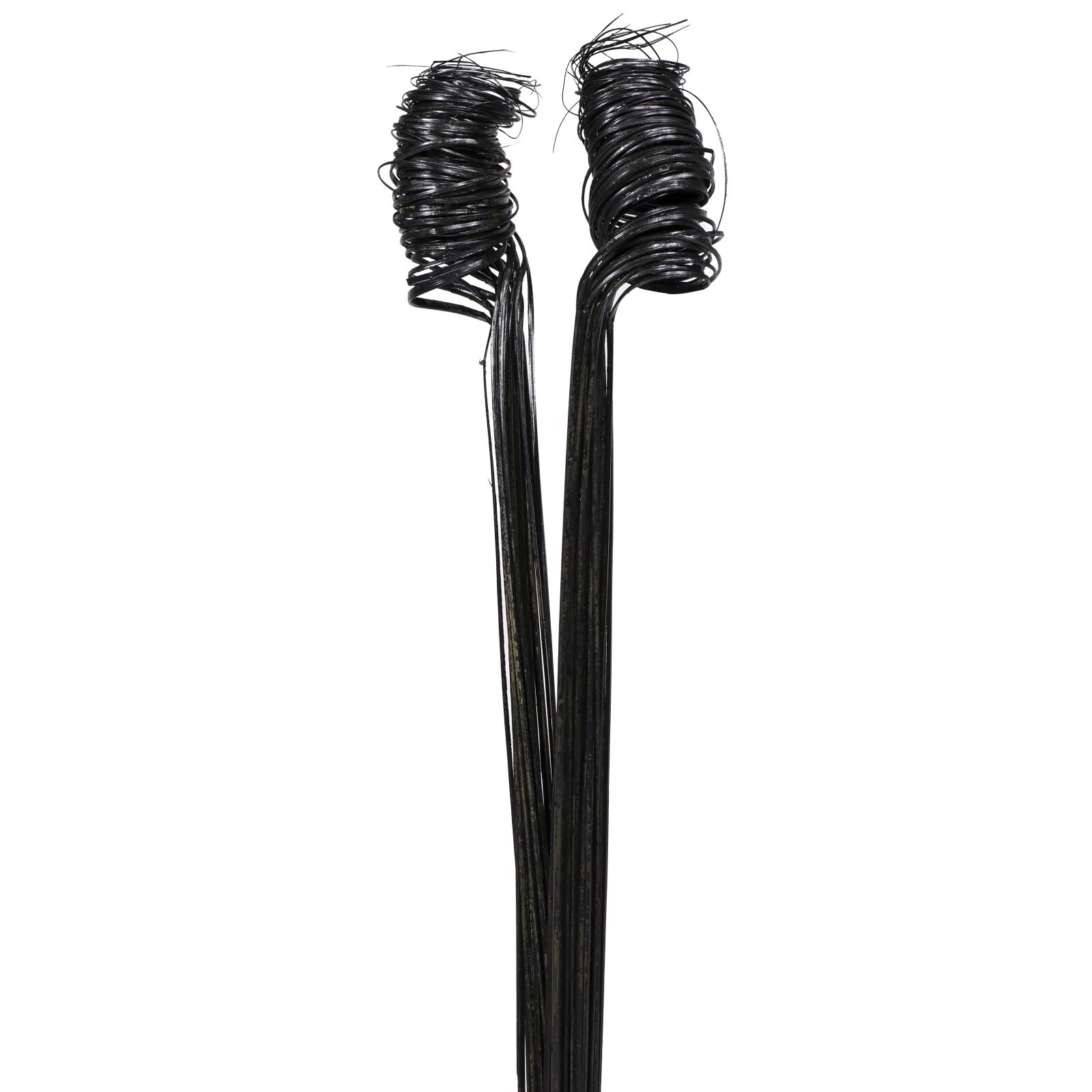 Curly Ting Pack of 35 Stems 3-4ft Black