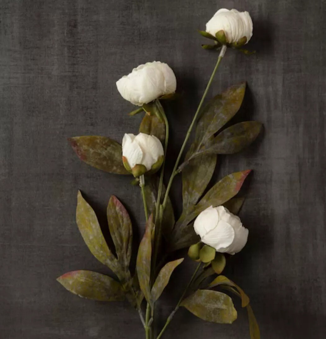 Michael’s Ashland Cream Peony Stems Set of 8 New