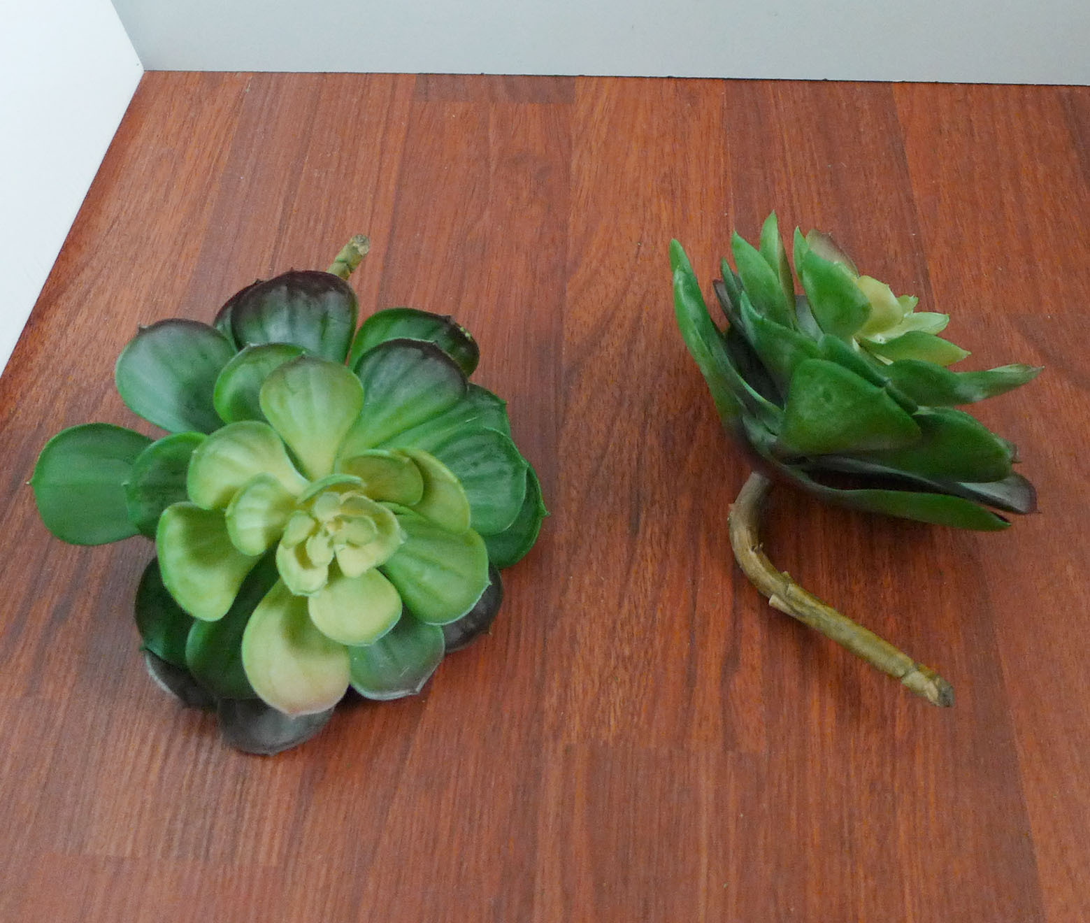 Four Colors Snow Lotus Plastic Artificial Succulents Plants Set of 2