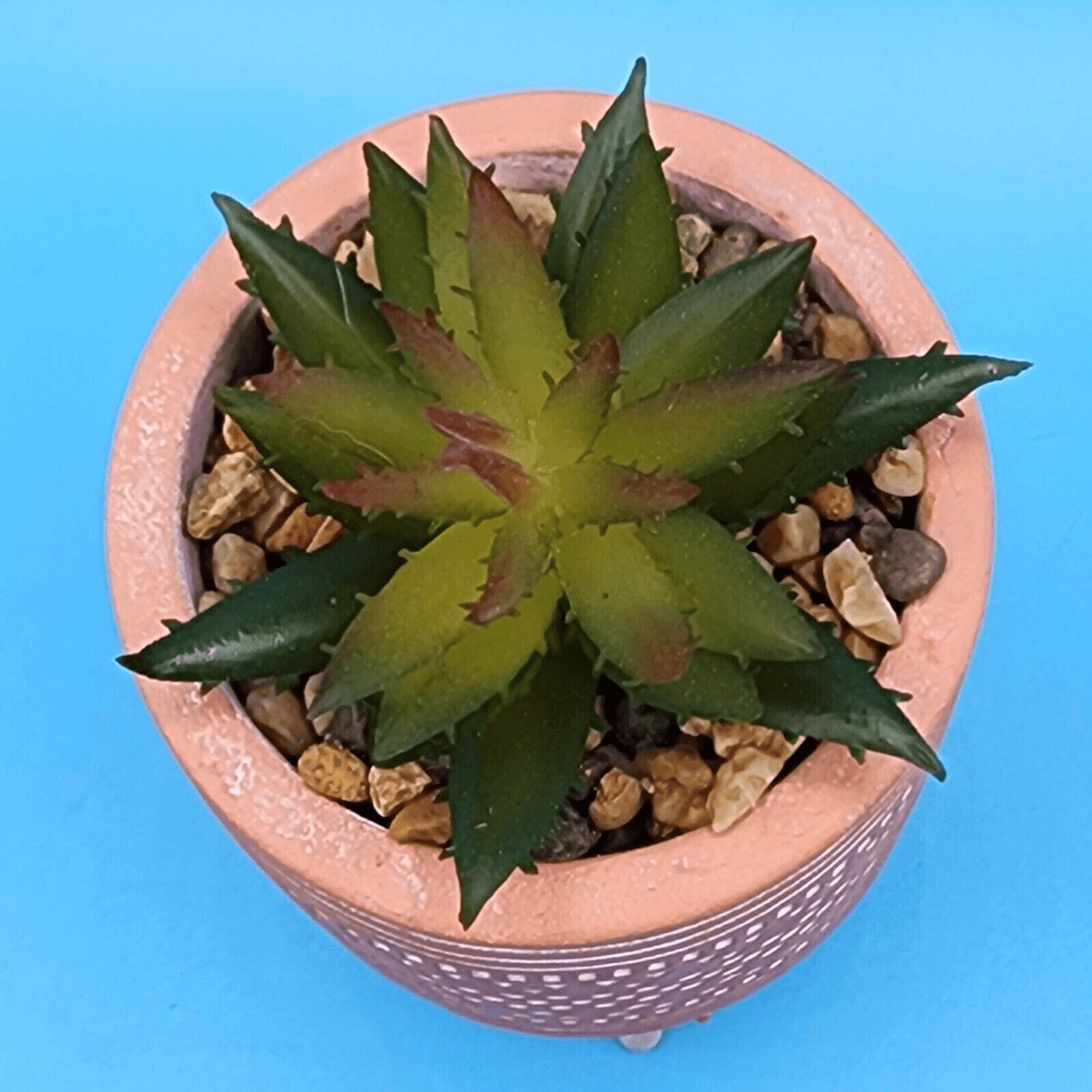 Faux Succulent Plant In Geometric Etched Terra Cotta Pot Legs Artificial Plant