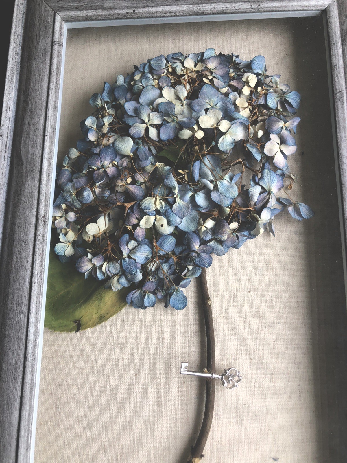 Real dried light blue hydrangea in wood frame 16”H x 10” W