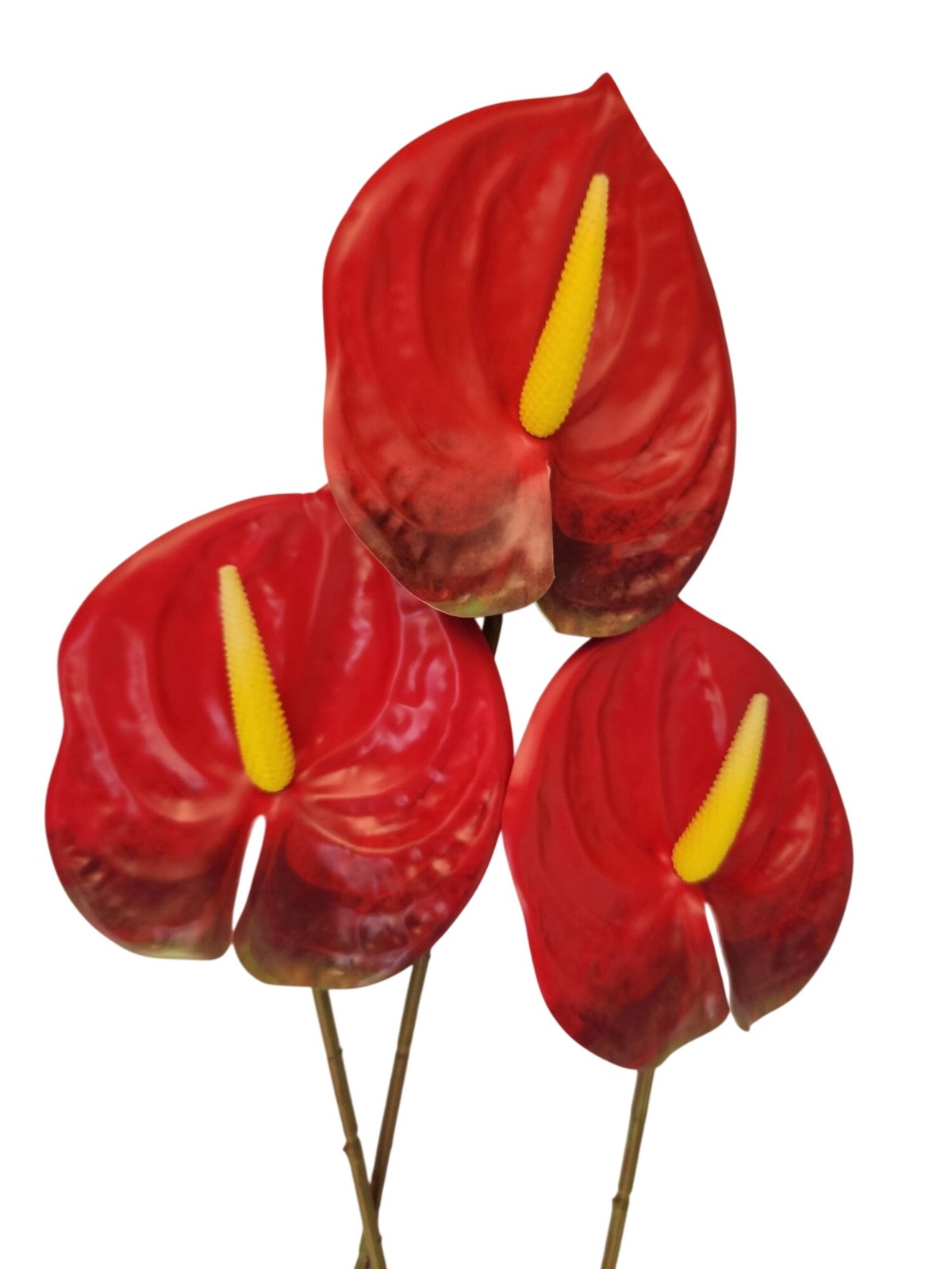 Red Artificial Anthurium Stems 23 Inch Faux Tropical Flowers Modern Home Decor