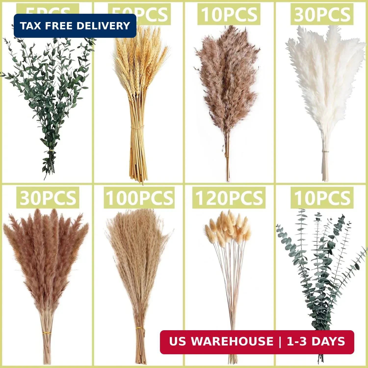 355PCS Dried Pampas Grass Bouquet Set – Dried Eucalyptus, Brown Pampas Grass & W