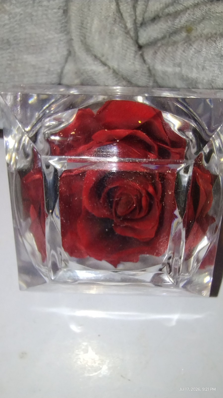 REAL PRESERVED ROSES • SET OF 5 BEAUTIFUL COLORS