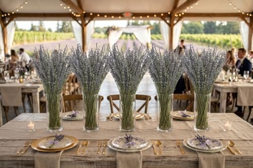 Dried Lavender Flowers 2 Bunches Natural Purple Bouquet 15-17 Inch 200-220 Stems