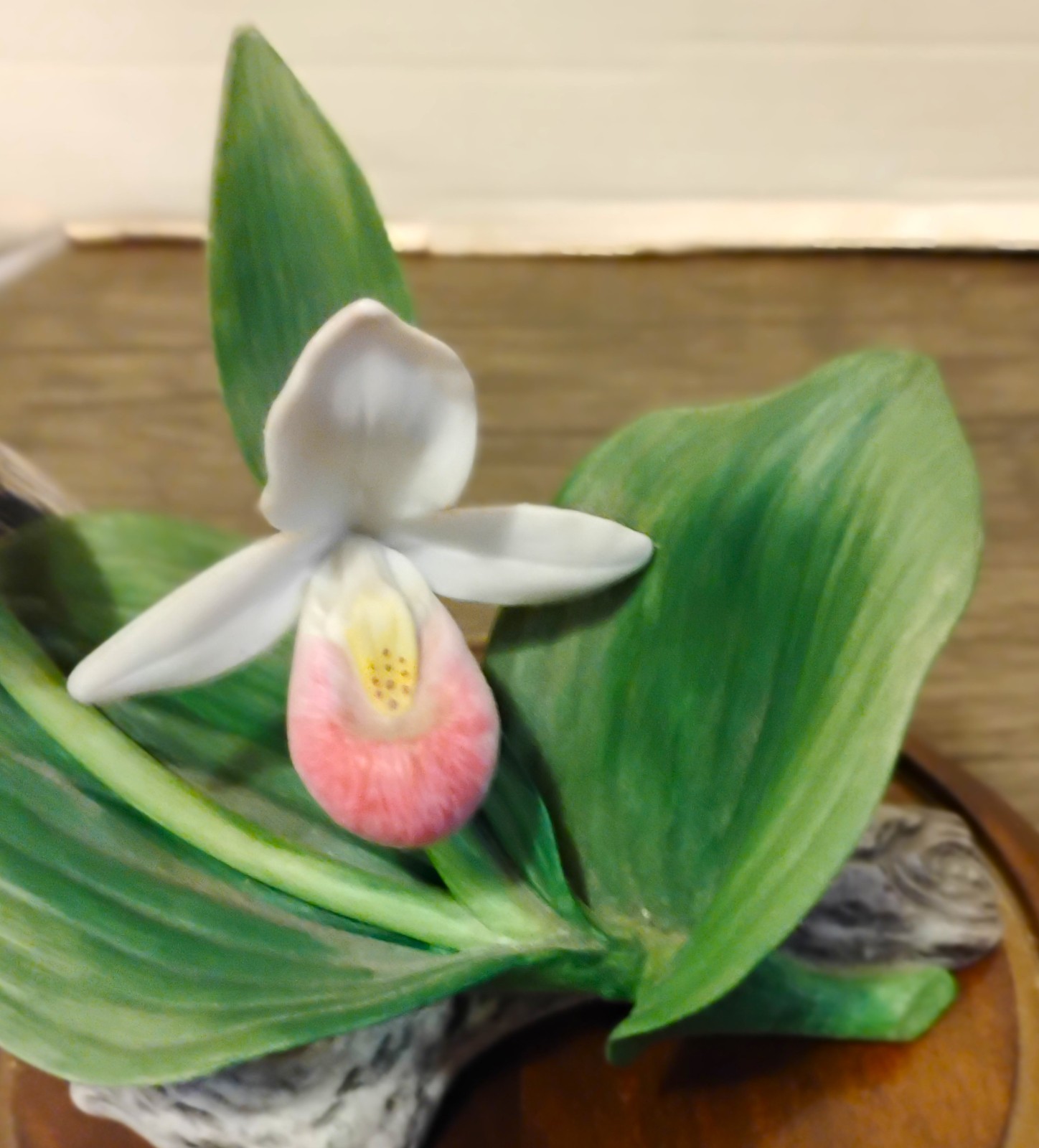 Bisque ‘Lady Slipper’ Cluster Celebrating Bachman’s Floral 100th Anniversary