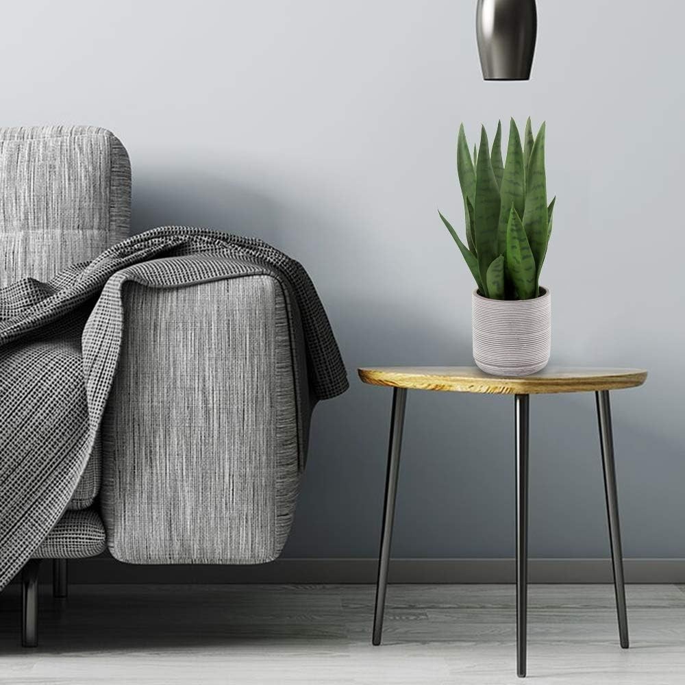 Fake Snake Plant 16″ Faux Potted Plant Artificial Snake Plant with Cement Pot…