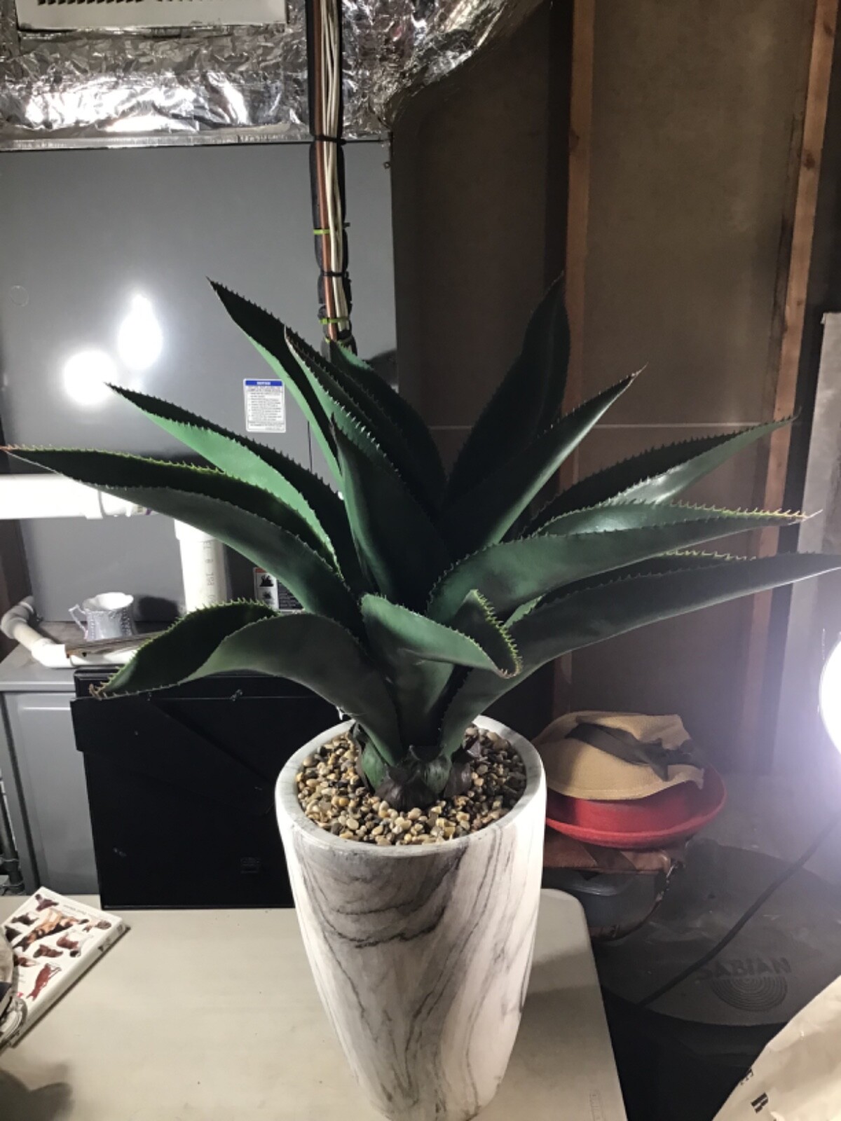 Agave with Marble Textured Planter 36” High
