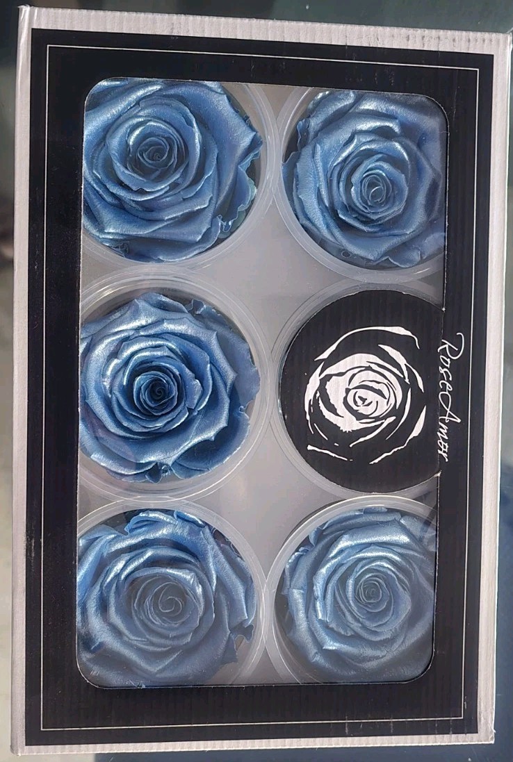 Preserved Roses Forever Roses 6 Pack Metallic Blue XL Ecuador