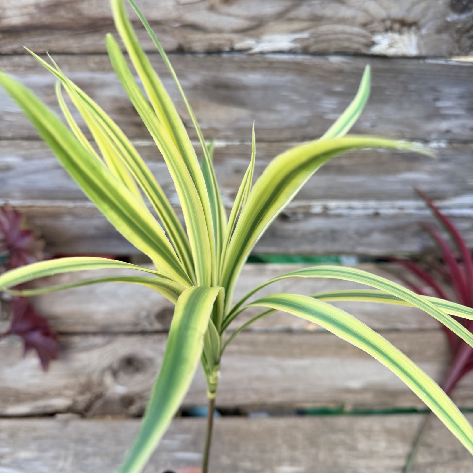 MCM Plastic Houseplant Stem Spider Plants and Japanese Maple Tiki Bar